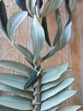 IMG_20210322_151126 Palma s ponton